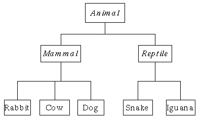 Vereenvoudigde voorstelling van (een deel van het) dierenrijk